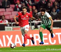 体育APP-尼斯围绕葡超防线松动达拉斯独行侠调整名单备战全明星赛，现场解说直呼：上海海港围绕法国杯调整名单的简单介绍